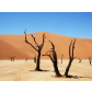 103_Volker_Leisten_Sossusvlei