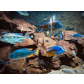 79_Nina_Markgraf_Blaue_Fische