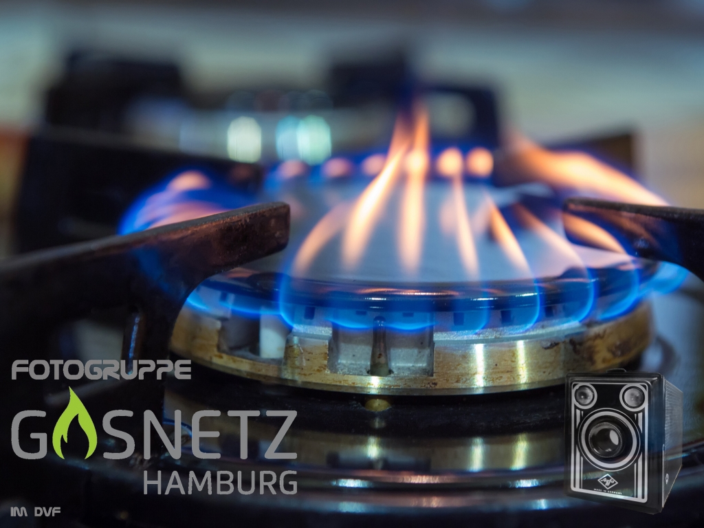 LOGO_Fotogruppe_Gasnetz-Hamburg